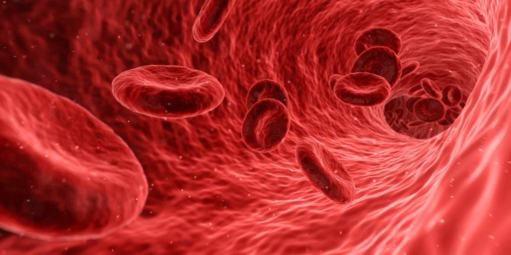 Qi and Blood: The Power Couple of Traditional Chinese Medicine(Part 3)